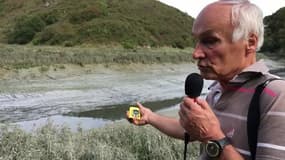 Les algues vertes ont-elles tué en Bretagne?