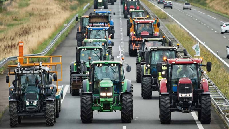 Une colonne de tracteurs sur l'A81 (image d'illustration).