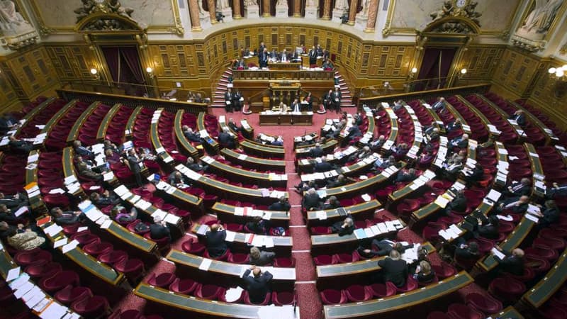 La réserve parlementaire du Sénat s'élève, au total, à 53,9 milliards d'euros.