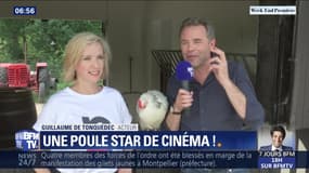 Une poule star de cinéma !