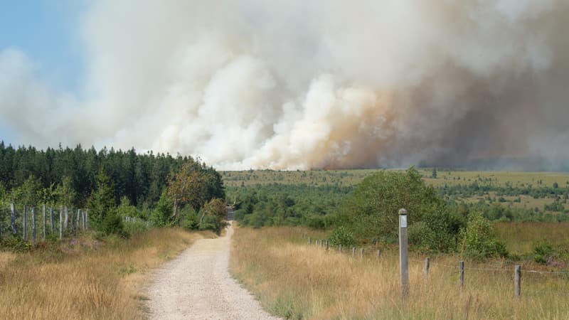 1.650 hectares brûlés dans un incendie en Belgique, des évacuations sont menées dans plusieurs villages