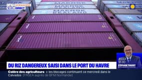 Les douaniers du Havre ont empêché l'importation de près de 50 tonnes de riz