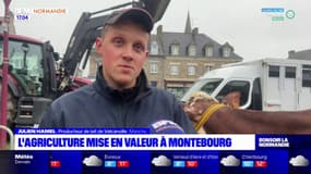 L'agriculture mise en valeur à Montebourg avec la foire de la Chandeleur