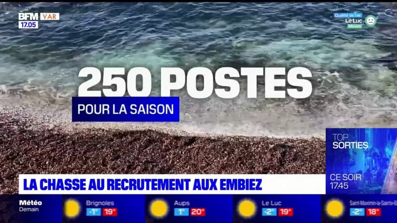 "On a beaucoup d'offre, pour peu de demande": Aux Embiez, une chasse au recrutement pour palier le manque de candidats