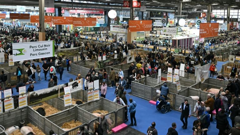 Des visiteurs au 61e Salon de l'Agriculture, Porte de Versailles, à Paris, le 27 février 2025