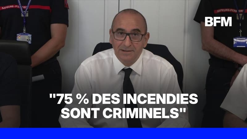 Incendies: Laurent Nuñez annonce "275 interpellations qui se sont traduites par 31 détentions"
