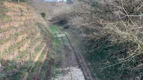 Une ligne de chemin de fer laissée à l'abandon entre Lyon et Trévoux.