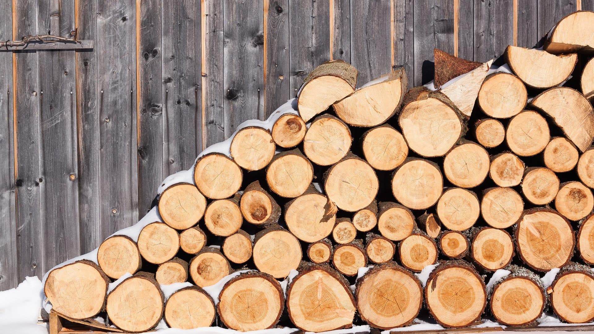 Chauffage: quelles sont les règles pour aller couper du bois en forêt