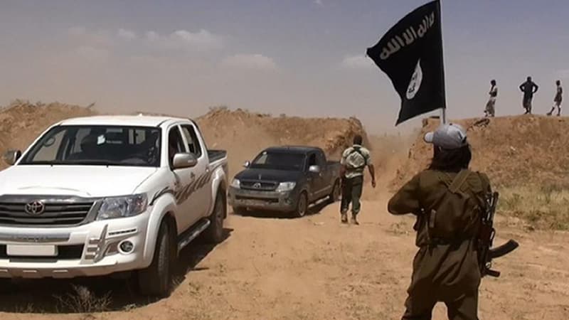 La mère d'un Français parti rejoindre l'Etat islamique en Syrie poursuit en justice l'Etat français