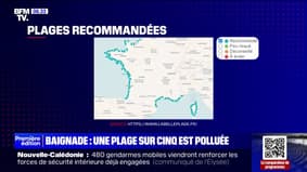 Selon l'association "Eau et Rivières de Bretagne", une plage sur cinq est polluée en France 
