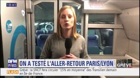 Quelles sont les conséquences concrètes de la grève? Notre reporter Anne-Laure Banse a effectué un aller-retour Paris/Lyon aujourd'hui!