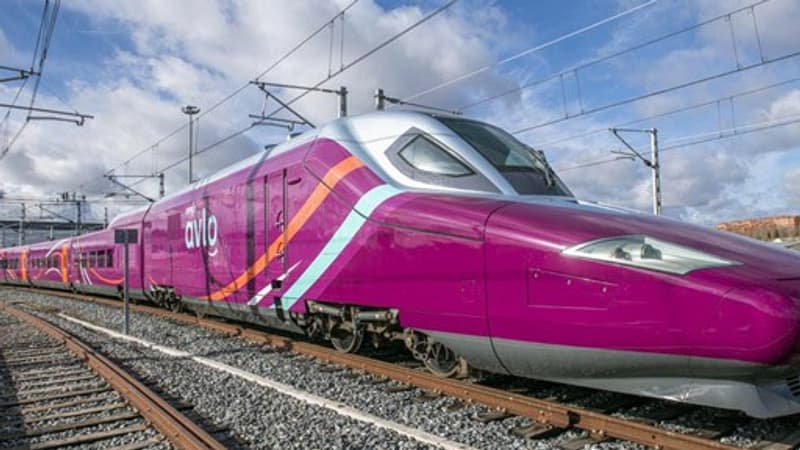 Ouigo en Espagne: la SNCF se félicite de son succès, un an après son lancement