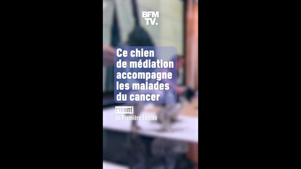 placeholder video