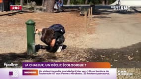 Nouvelle vague de chaleur : vers un déclic écologique ? 
