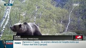 "J'étais prêt à me battre pour ma vie": ce randonneur s'est retrouvé en face à face avec un ours dans les Pyrénnées