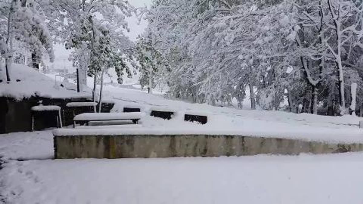 placeholder video