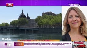 Regol : "Il manque juste un tout petit truc : le courage politique"