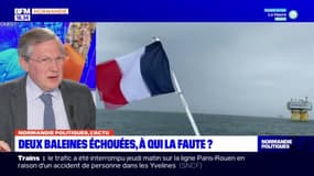 Éolien en mer: Philippe Bas demande "d'associer davantage les pêcheurs aux études"