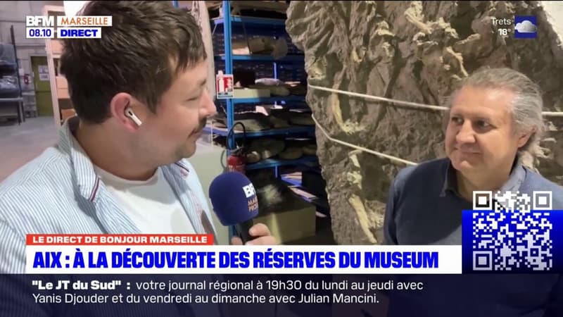 Aix-en-Provence: à la découverte des réserves du Museum d&#039;Histoire naturelle