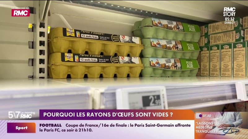Pourquoi les rayons d'œufs sont vides ?
