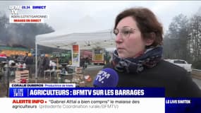 "Il faut que les services de l'État comprennent qu'on est au bord du gouffre", alerte cette productrice de kiwis