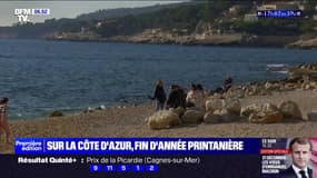Sur la Côte d'Azur, une fin d'année aux saveurs printanières 