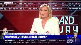 Eric Zemmour candidat en 2022? Marine Le Pen s'interroge sur "l'intérêt de cette candidature"