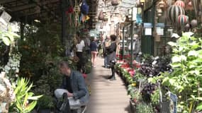 Le Marché aux fleurs et aux Oiseaux de l'Île de la cité en mai 2024.