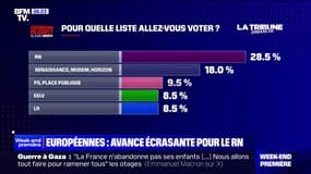 Européennes: une nette avance pour le Rassemblement national dans les intentions de vote, selon notre sondage Elabe 