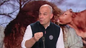 Le président de la FNSEA Arnaud Rousseau le 12 décembre 2025 sur BFMTV.