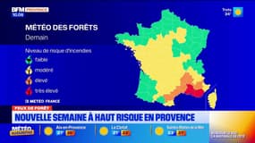 Feux de forêt : nouvelle semaine à haut risque en Provence