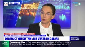 Destruction du TNN: Juliette Chesnel Leroux, conseillère municipale EELV à Nice, revient sur le projet des Verts