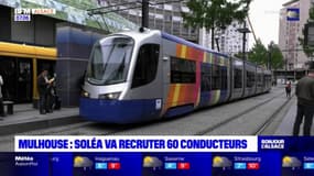 Mulhouse: le réseau Soléa recrute 60 conducteurs cette année
