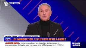 Projet de loi immigration: "C'est un bras de fer entre les LR et nous", pour Patrick Vignal (Renaissance)