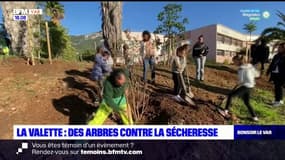 La Valette-du-Var: des écoliers plantent des arbres pour lutter contre la sécheresse