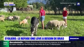 Hautes-Alpes: le refuge One Love d'Eygliers manque de bras
