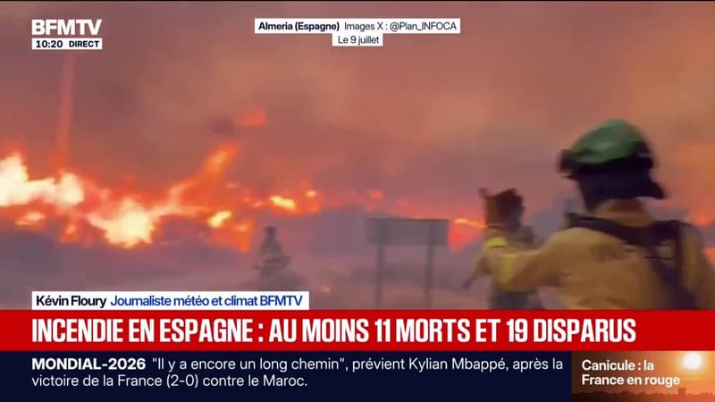 Un feu de forêt fait au moins 11 morts près d'Almeria, dans le sud de l'Espagne