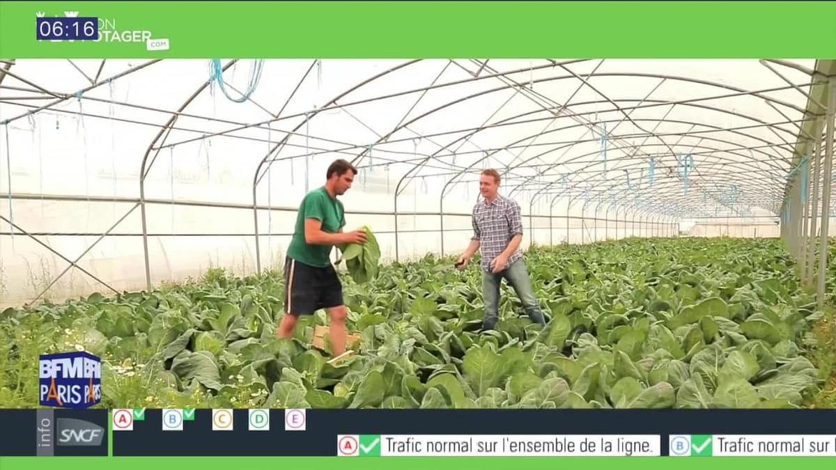 placeholder video