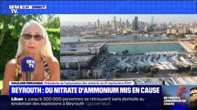 La présidente de l'association des sinistrés de l'usine AZF juge "criminel" le stockage d'une telle quantité de nitrate d'ammonium à Beyrouth