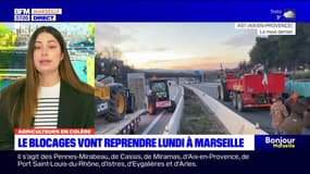Marseille: deux nouvelles actions des agriculteurs attendues ce lundi