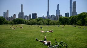 Des gens au soleil dans le Central Park à New York, le 19 mai 2021, après la levée des restrictions contre le Covid-19