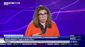 Idée de placements: Loi en faveur de l'activité professionnelle indépendante, quels enjeux ? quels objectifs ? - 07/02