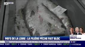 La France qui résiste : La filière pêche fait bloc en Pays de la Loire, par Alexandra Paget - 18/10