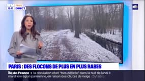 Paris: des flocons de plus en plus rares