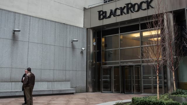 Le Fonds Blackrock, leader mondial de la gestion d'actifs, a la puissance pour faire avancer ses idées. 