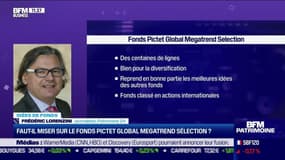 Idée de fonds : Faut-il miser sur Pictet-Global Megatrend Selection ? - 17/05