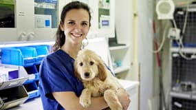 Cette assurance peut se révéler très utile lorsque votre animal de compagnie est victime d’un pépin de santé
