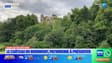 Les trésors du château du Morimont 