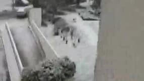 Chute de neige à Champigny-sur-Marne - Témoins BFMTV