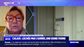 Fermeture d'usine à Calais: "Il est intolérable de voir comment on massacre le made in France dans notre pays", affirme la maire